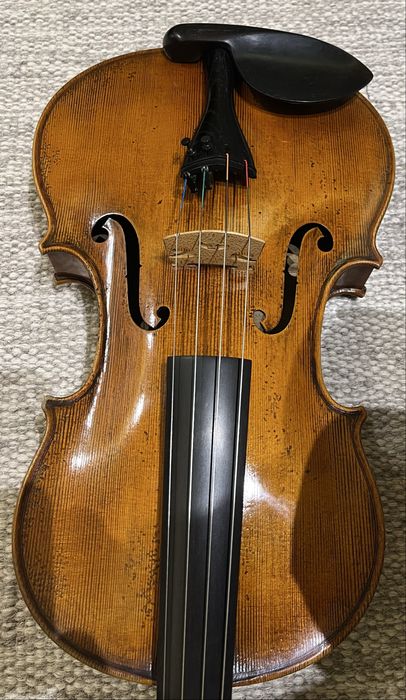 Viola Antonio Wang modelo Verona