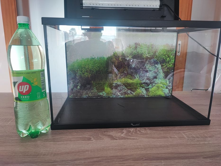 Aquário aqualantis 60L