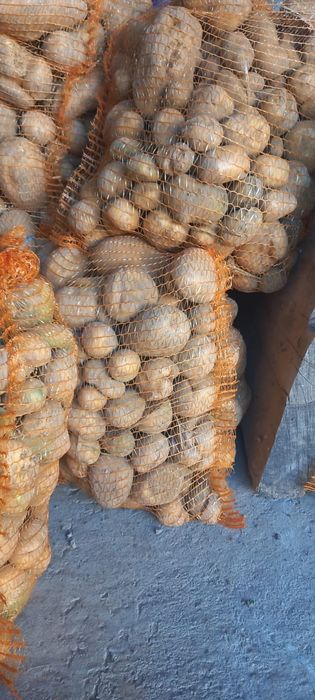 Ziemniaki paszowe odpady