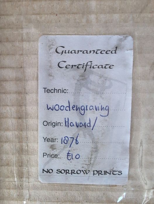 Gravura antiga em madeira cidade holandesa Leeuwarden 1876