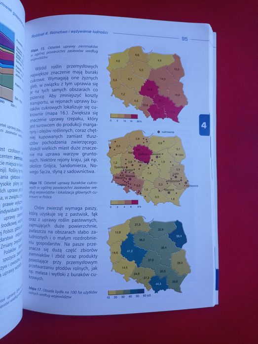 Geografia 2, Człowiek gospodarzem Ziemi, Paweł Wład, zakres podstawowy