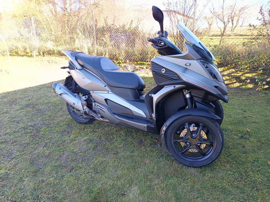 QUADRO 350s Super Stan Kategoria B