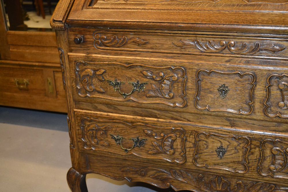 sekretarzyk ludwikowski .lity dąb .#2