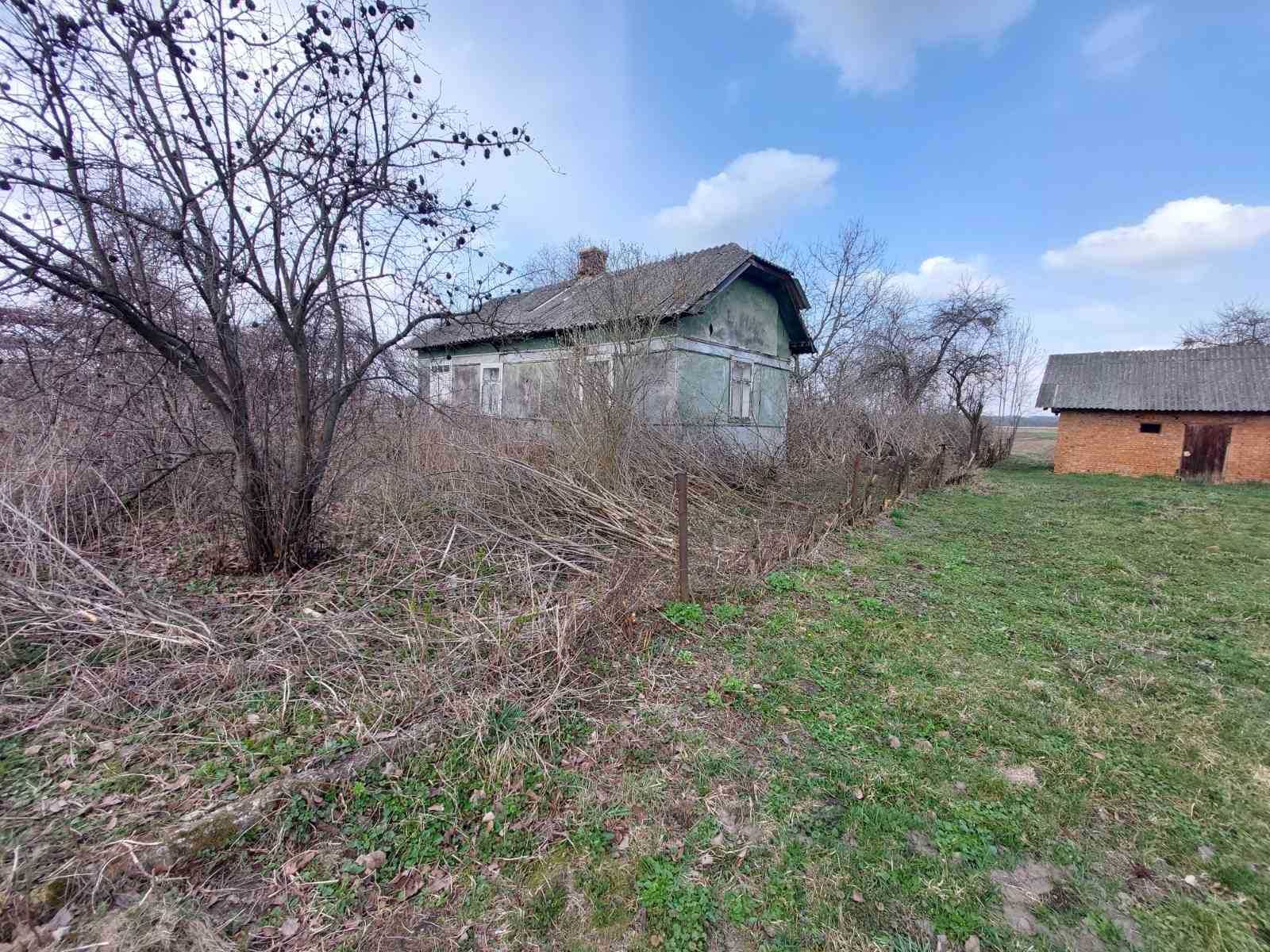 Продається будинок в с.Новий Мартинів