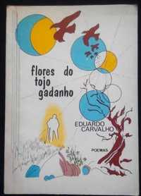 Eduardo Carvalho - Flores do tojo gadanho - Poemas