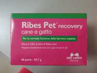 Ribes Pet вітаміни для собак