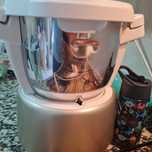 Moulinex i companion