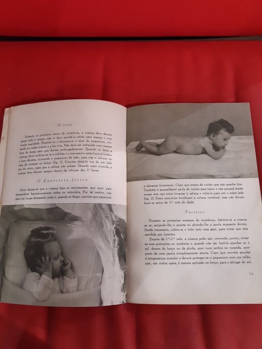 Antigo livro década de 60 "Às Jovens Mães" editado pela Nestlé