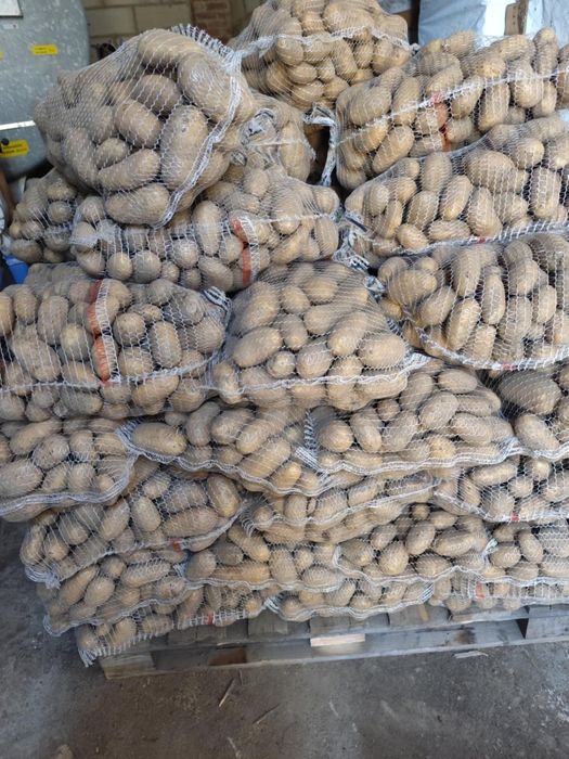 Sprzedam  ziemniaki jadalne Jurata