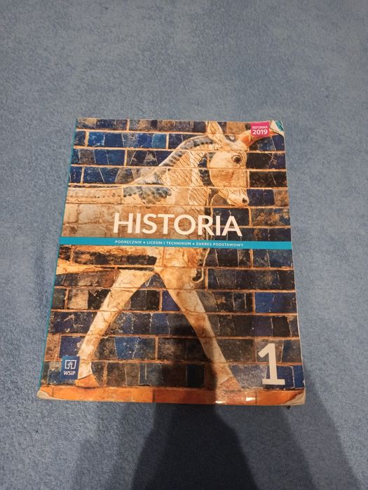 historia WSIP 1 klasa
