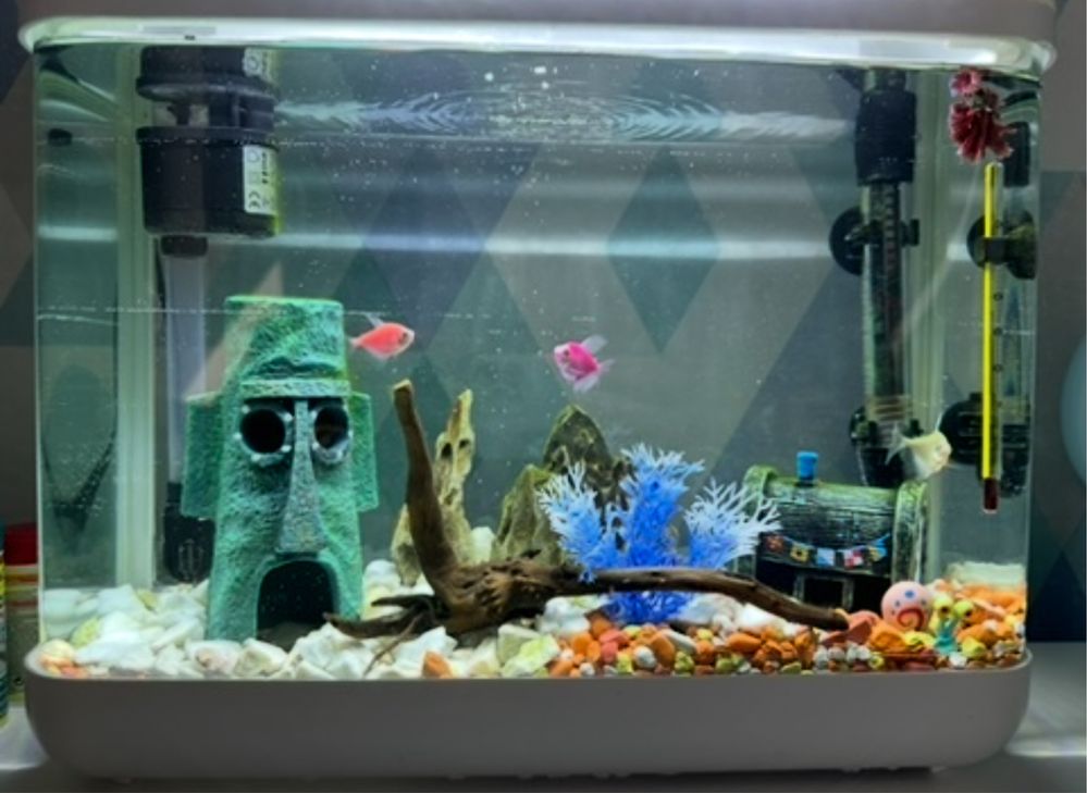 akwarium invital cascade led 17 l