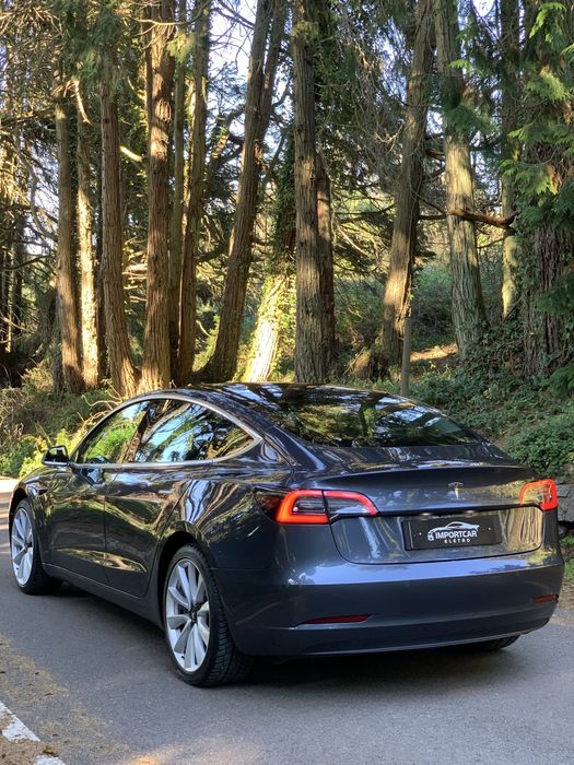 Tesla model 3 Standard Plus RDW