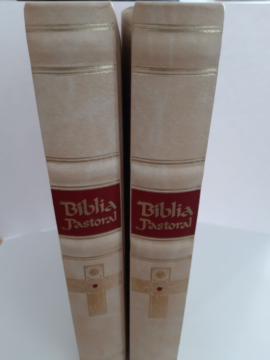 Biblia Sagrada - Encadernação de Luxo