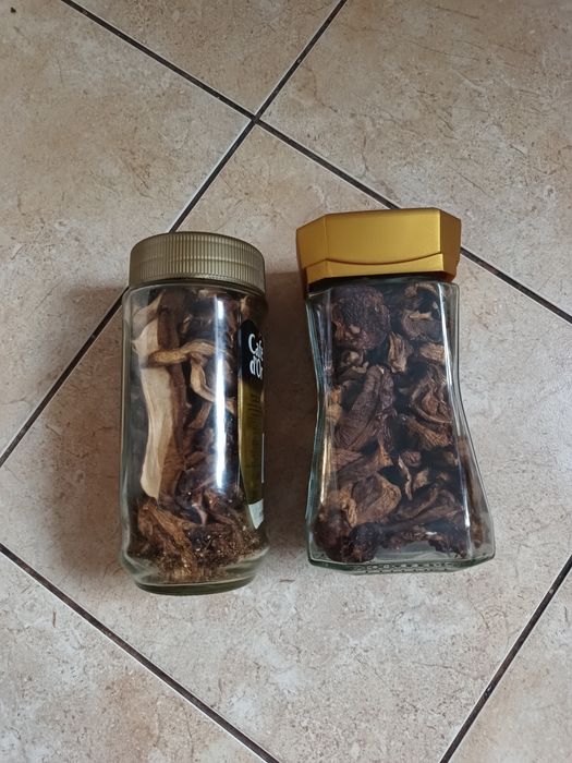 Grzyby suszone prawdziwki i podgrzybki