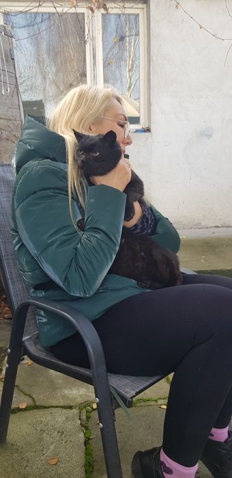 Oddam kota do adopcji