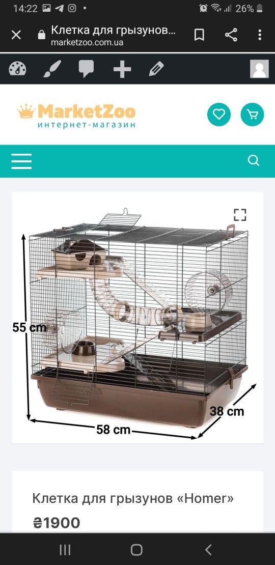 Крысы,крыски,крысята дамбо,клетки,корма,аксессуары