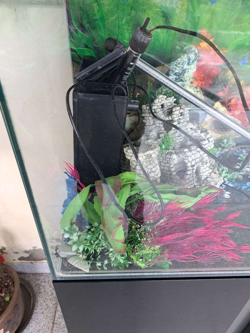Aquario 120litros ciano