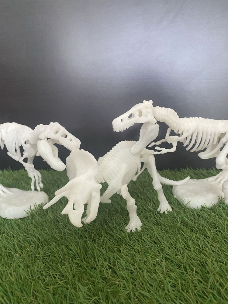 Dinossauros Esqueletos