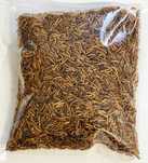 Balmax, Suszone larwy muchy (mucha domowa), Fly larvae (Housefly) 800g
