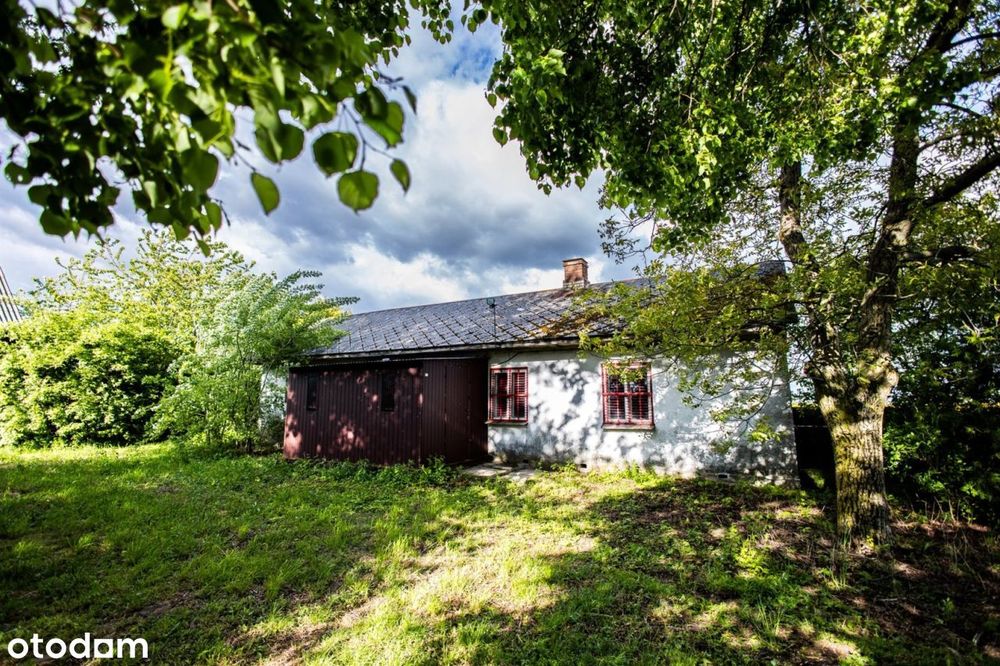 Urokliwe siedlisko na działce 30 ar w Bełżycach