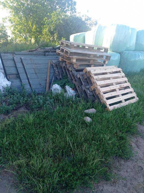 Drzewo na opał sprzedam
