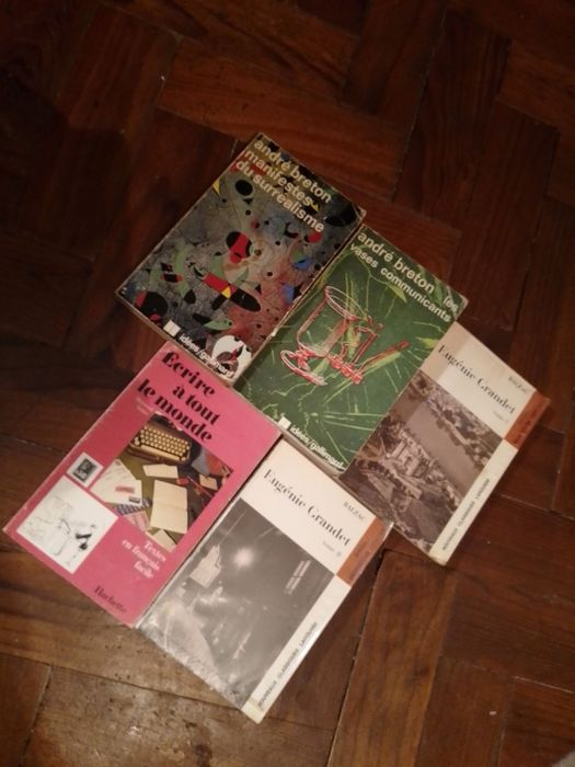 Livros em Inglês/Francês e Alemão Saldos varios géneros Since/Desde 2E