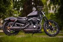 Harley-Davidson Sportster Iron 883 Harley Davidson 883 sportster