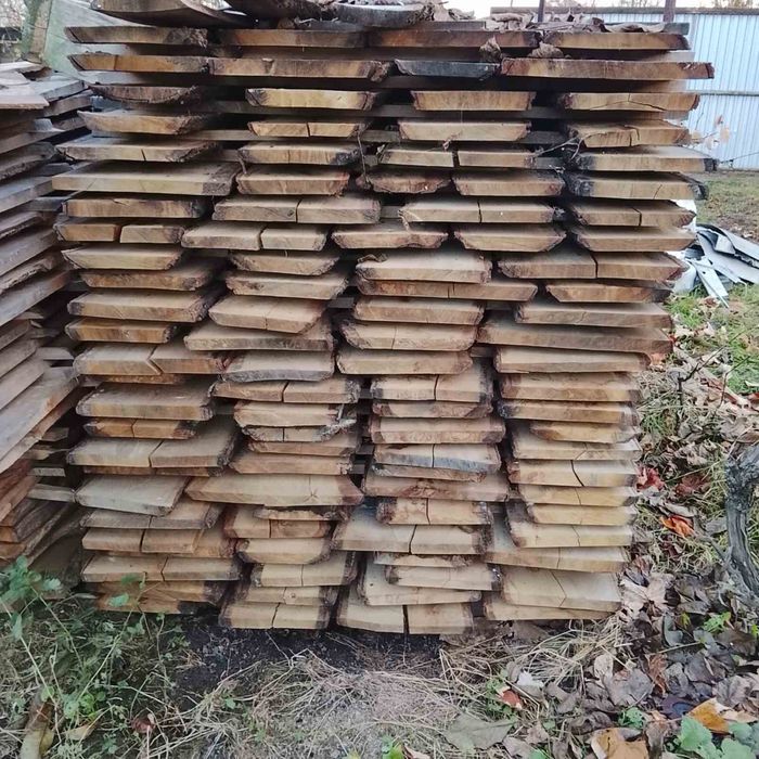 Дошкака дубова суха