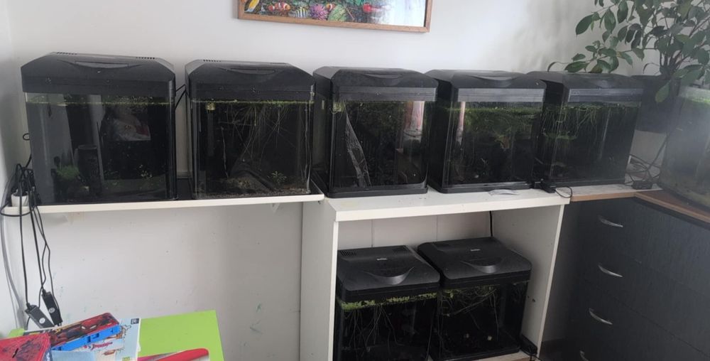 Akwarium/krewetkarium 30l