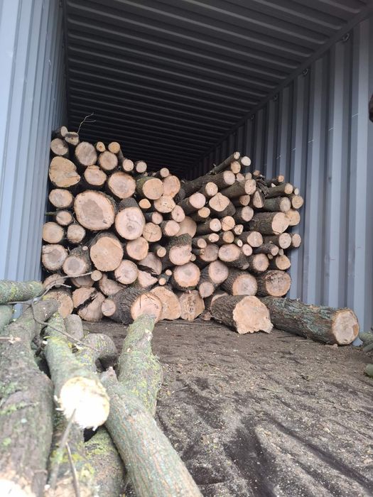 Дрова дуб опт метровый