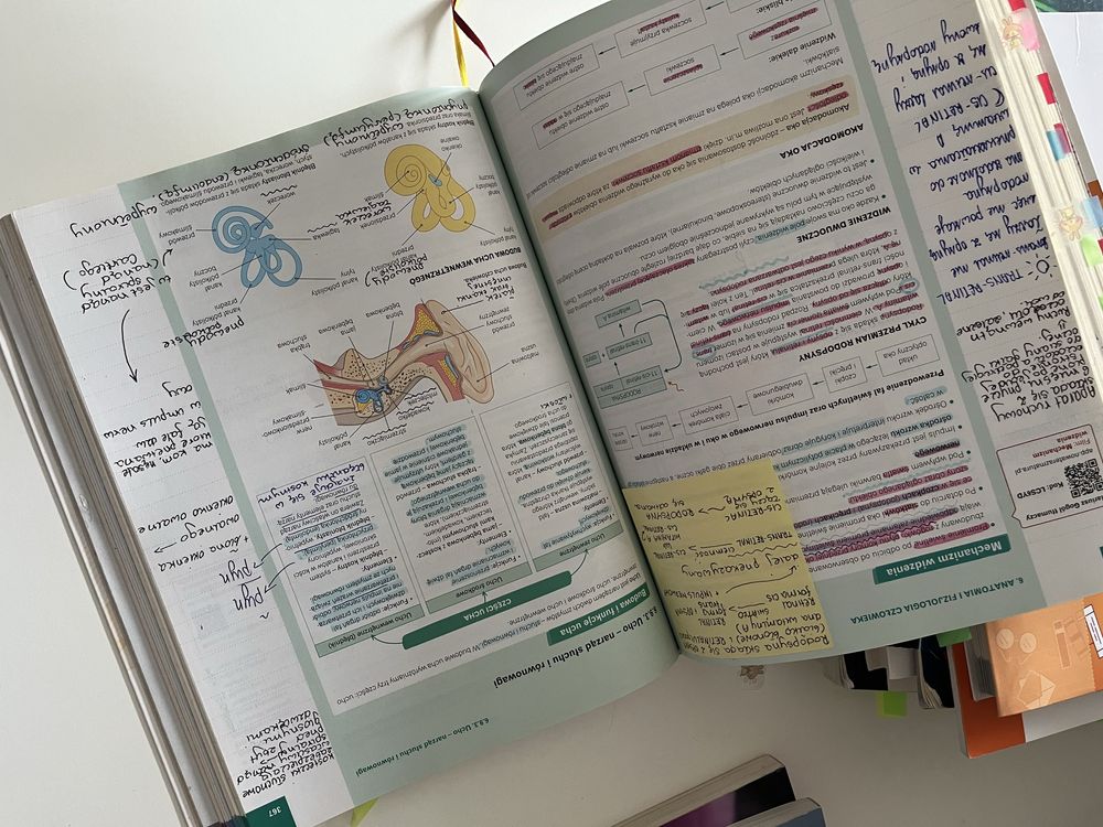 Nowa teraz matura biologia vademecum repetytorium rozszerzona nowa era
