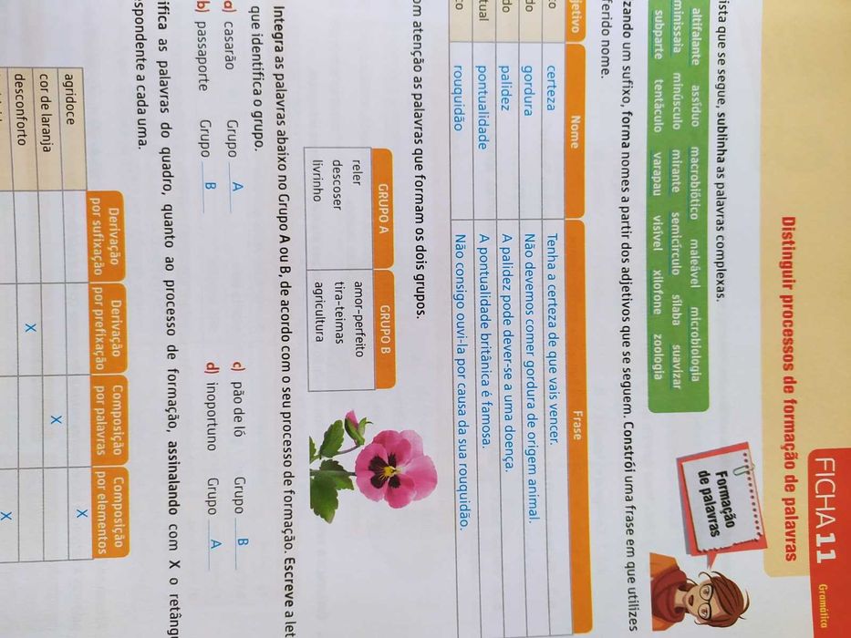 Ponto.pt 7 - SÓ CADERNO DE ATIVIDADES- 7.º ano - Versão do professor