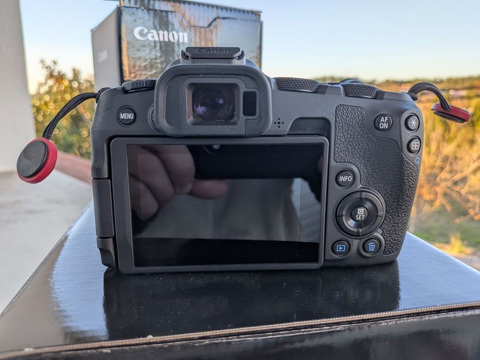 Canon R8 + RF 50mm 1.8STM