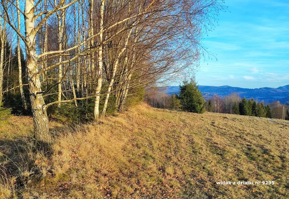Działki rolne w górach – Sól, gm. Rajcza, powierzchnia łącznie 1 ha