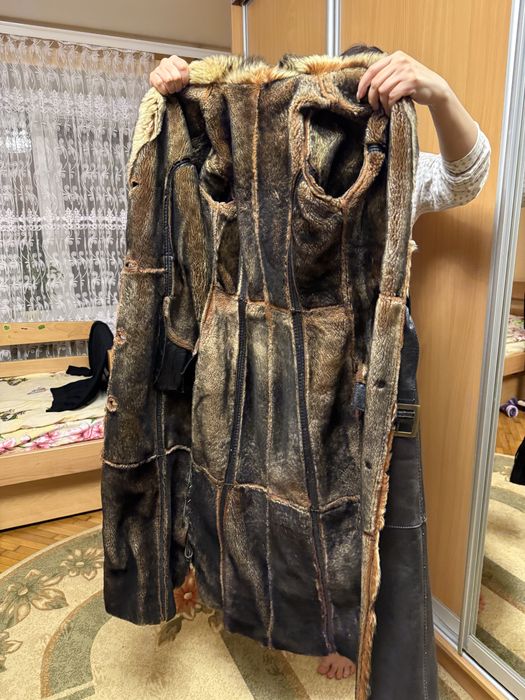 Дублянка довга (овеча)