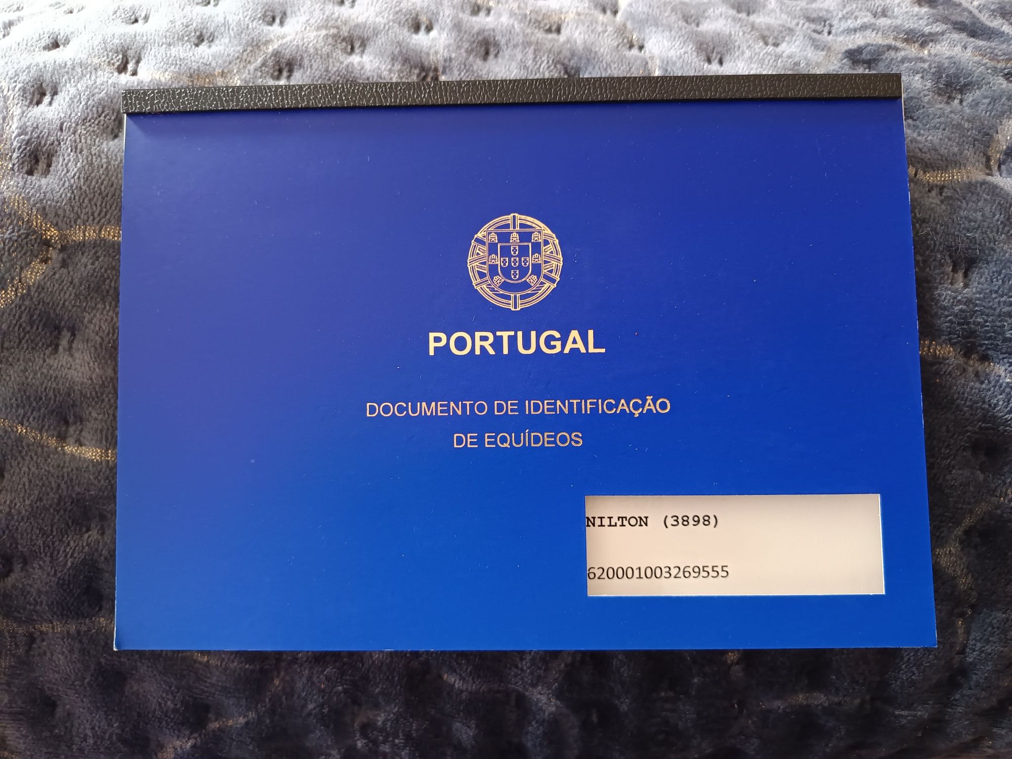 Burro Mirandês Inteiro