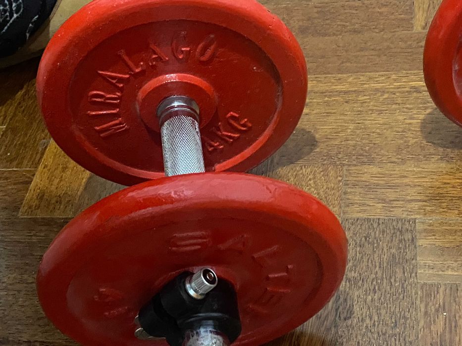 Halteres 10–12kg (com barras) – Ferro Fundido SALTER / MIRALAGO