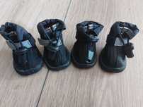 Buty dla psa komplet