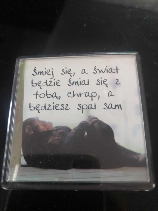 magnesy na lodówkę zestaw 11 szt