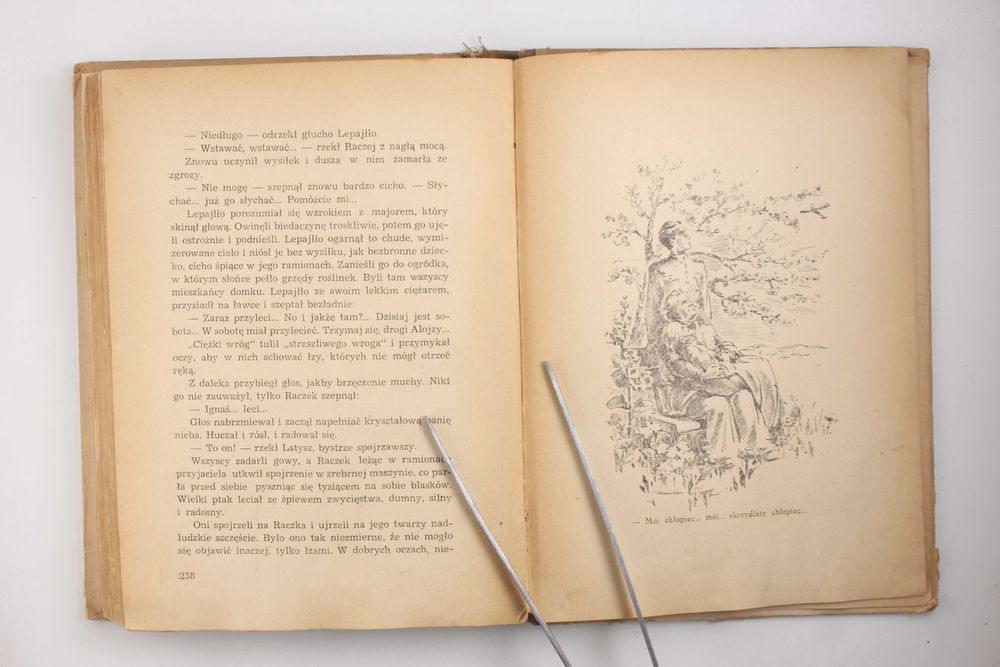 Skrzydlaty chłopiec [1949] > Kornel Makuszyński [autograf + dedykacja]