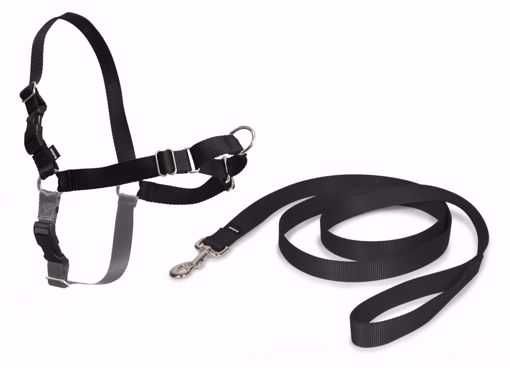 NOVO - Easy Walk, peitoral anti-puxão + tela - PetSafe