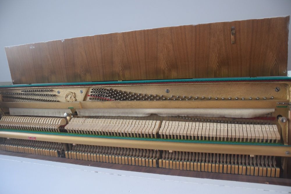 Piękne Białe pianino Calisia