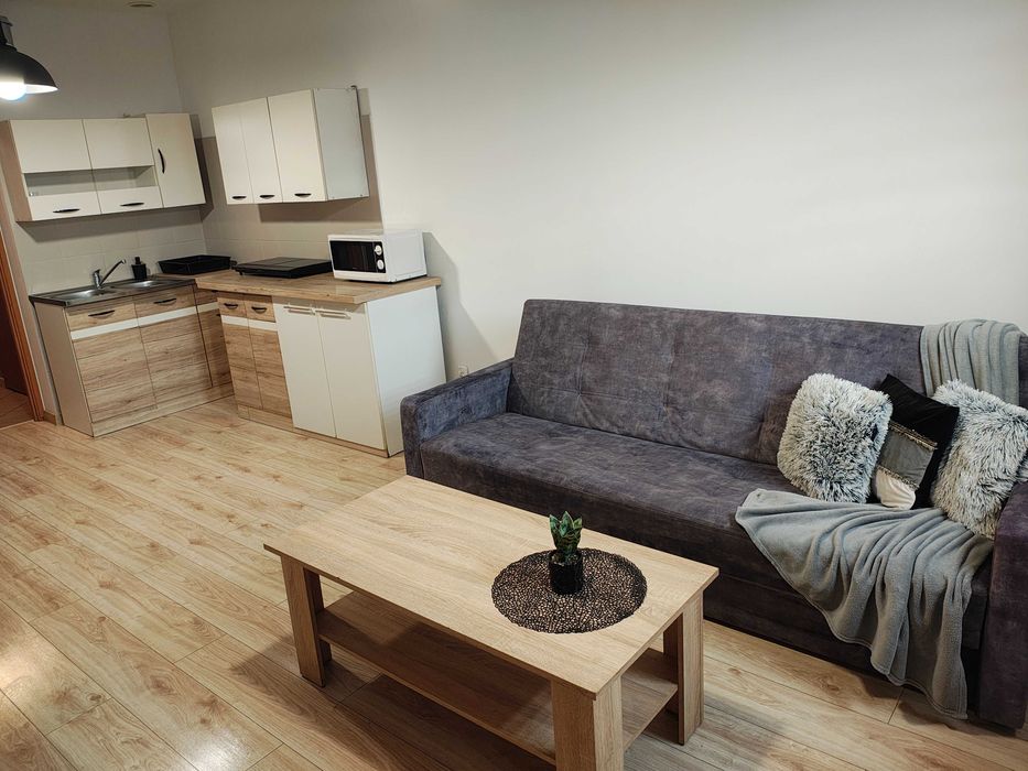 Mieszkanie na wynajem