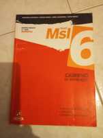 Novo MsI 6 matemática caderno de actividades 6ano