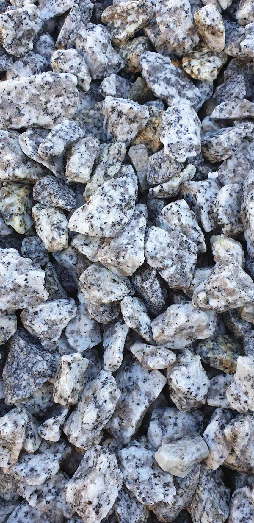 Grys granit Dalmatyńczyk 8-16, 16-22 Kamień ogrodowy dekor ozdobny