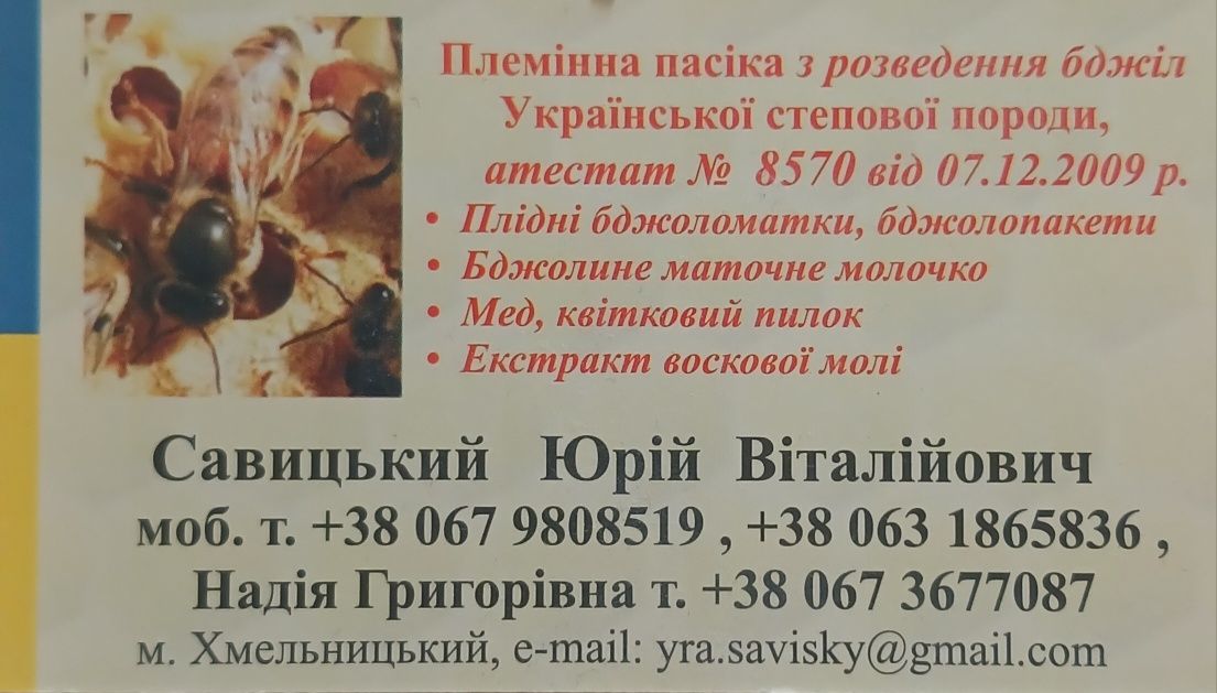 Племінні матки української степової породи, бджоломатка