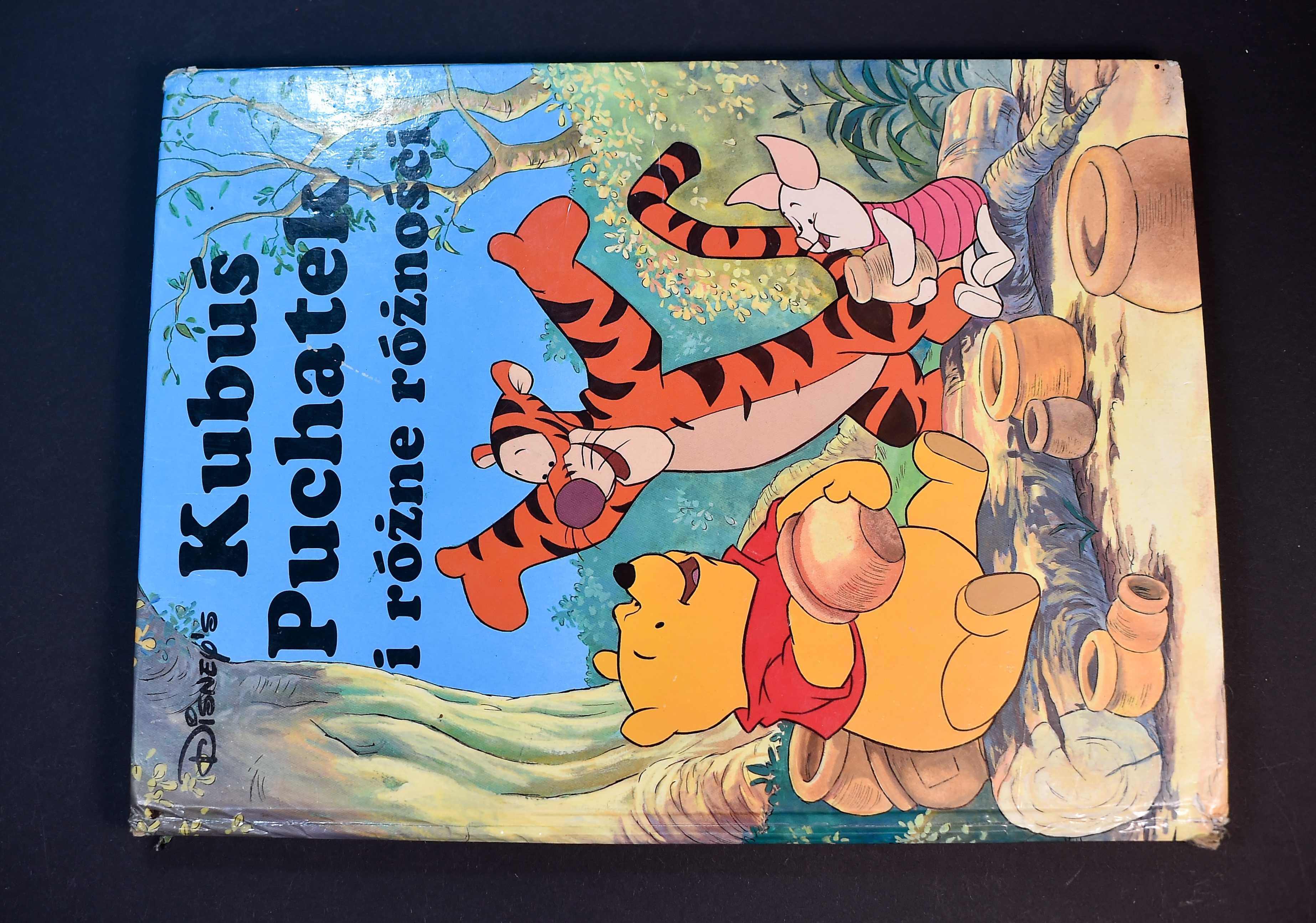 Książka # Disney Kubuś Puchatek i różne różności