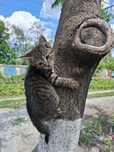 Кошеня у хороші руки, дівчинка, доставка безкоштовно