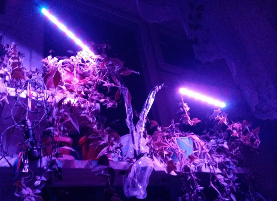 Фитосветильник для растений на 2 лампы.