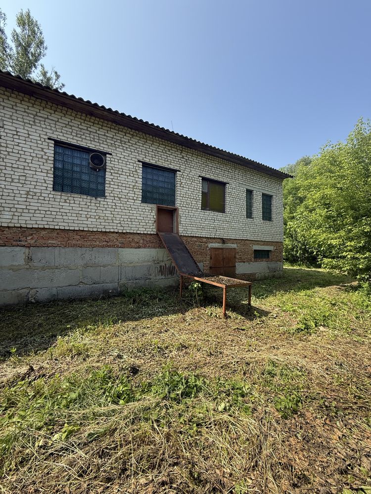 Продаж виробничого приміщення в місті Судова Вишня